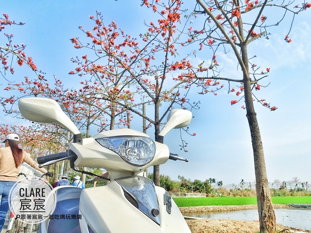 台南白河林初埤木棉花1-機車旅遊-跟著宸宸一起吃喝玩樂唷.jpg