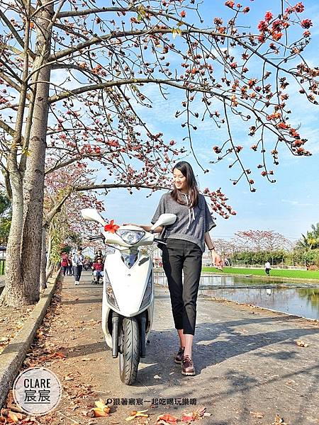 台南白河林初埤木棉花-機車旅遊-跟著宸宸一起吃喝玩樂唷.jpg