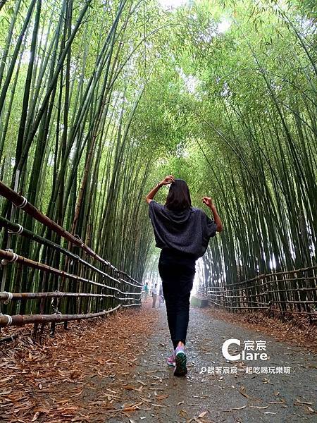 苗栗縣泰安鄉-烏嘎彥竹林-機車旅遊-跟著宸宸一起吃喝玩樂唷.jpg