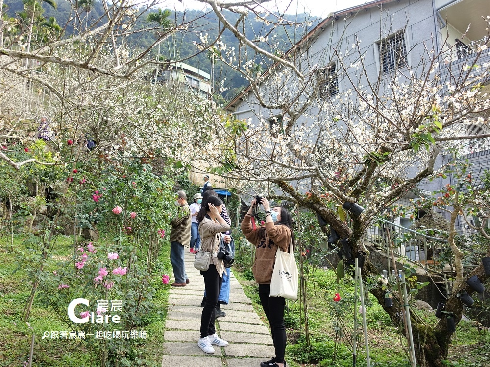 梅嶺風景區-登山步道賞梅花-台南玉井楠西一日遊行程推薦5.JPG