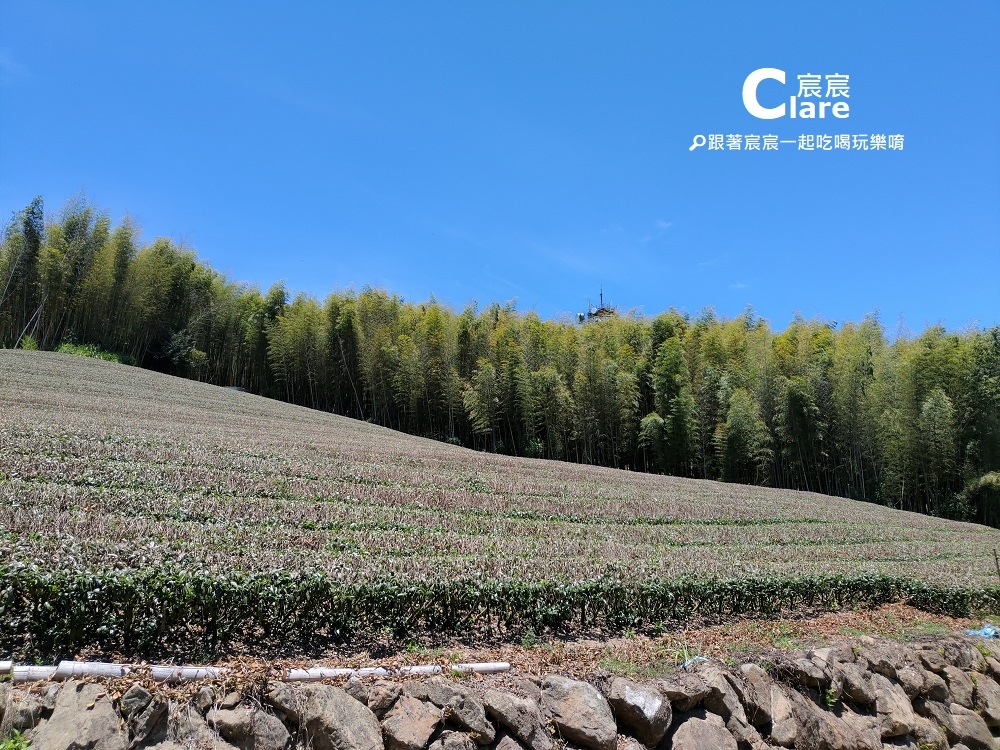 嘉義阿里山隙頂茶霧之道-二延平步道1.jpg