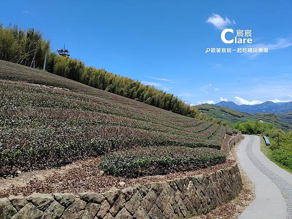 嘉義阿里山隙頂茶霧之道-二延平步道3.jpg