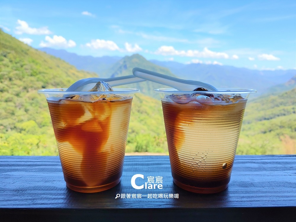 野生愛玉-游芭絲鄒宴餐廳-嘉義美食景觀餐廳-山美社區部落-達娜伊谷順遊-嘉義阿里山一日遊行程推薦.jpg