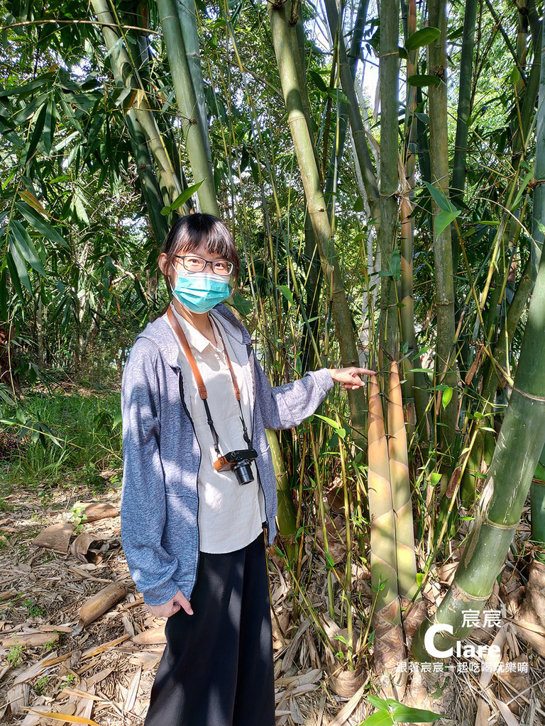 採筍趣-嘉義大埔旅遊-曾文水庫嘉義一日遊行程推薦1.jpg