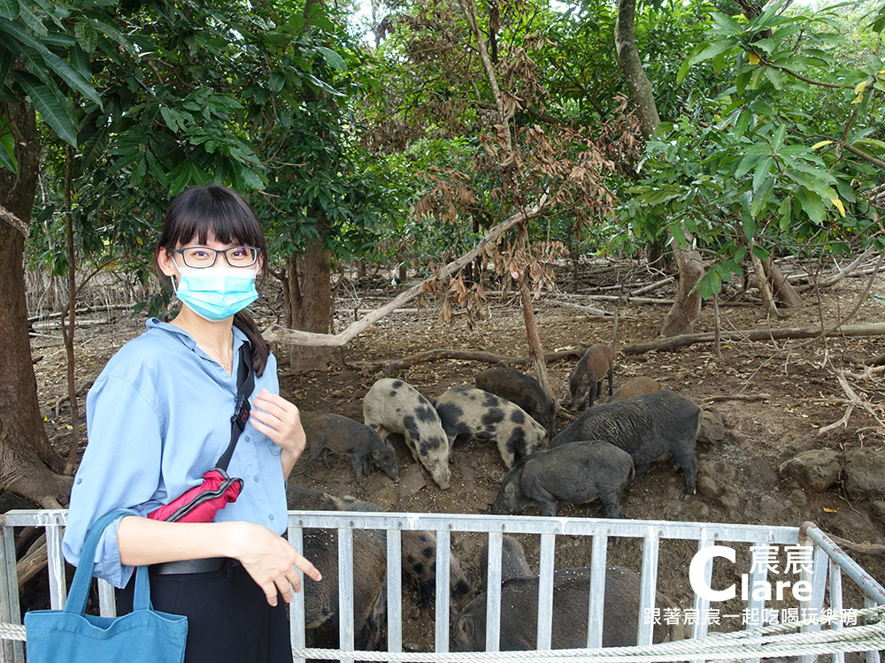 曾文水庫觀光遊艇搭船-嘉義大埔旅遊-曾文水庫嘉義一日遊行程推薦-山豬島5.jpg