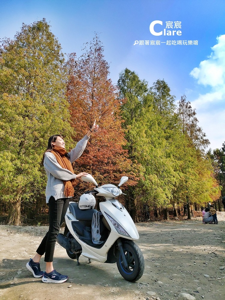 九芎村落羽松祕境-雲林林內景點-雲林一日遊旅遊景點推薦3.jpeg