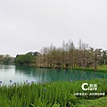 雲山水園區夢幻湖-花蓮壽豐住宿推薦雲山水城堡Castle Villa 19.花蓮落羽松秘境.花蓮壽豐景點推薦5.jpg