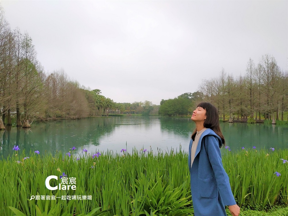 雲山水園區夢幻湖-花蓮壽豐住宿推薦雲山水城堡Castle Villa 19.花蓮落羽松秘境.花蓮壽豐景點推薦7.jpg