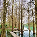 雲山水園區夢幻湖-花蓮壽豐住宿推薦雲山水城堡Castle Villa 19.花蓮落羽松秘境.花蓮壽豐景點推薦9.jpg