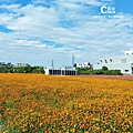 冰點小白貨櫃屋.冰點花海秘境.冰點空調冷氣.2023台南走春景點.台南山上景點推薦6.jpg