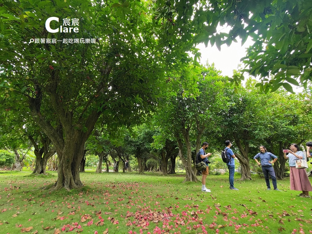 三秀園-雲林大埤旅遊.雲林一日遊景點推薦-園區導覽24.jpg