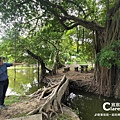 三秀園-雲林大埤旅遊.雲林一日遊景點推薦-園區導覽26.jpg