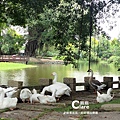 三秀園-雲林大埤旅遊.雲林一日遊景點推薦-園區導覽30.jpg