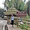 雲林古坑旅遊_草嶺石壁森林療癒基地_五元兩角1.jpg