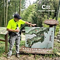 雲林古坑旅遊_草嶺石壁森林療癒基地_漫行草嶺走訪木馬古道1.jpg