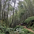 雲林古坑旅遊_草嶺石壁森林療癒基地_漫行草嶺走訪木馬古道19.jpg