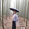 雲林古坑旅遊_草嶺石壁森林療癒基地_漫行草嶺走訪木馬古道24.jpg