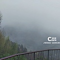 雲林古坑旅遊_草嶺石壁森林療癒基地_漫行草嶺走訪木馬古道33.jpg