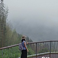 雲林古坑旅遊_草嶺石壁森林療癒基地_漫行草嶺走訪木馬古道35.jpg