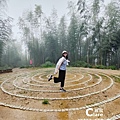 雲林古坑旅遊_草嶺石壁森林療癒基地_漫行草嶺走訪木馬古道39.jpg