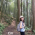 雲林古坑旅遊_草嶺石壁森林療癒基地_漫行草嶺走訪木馬古道17.jpg