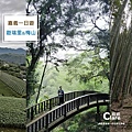 嘉義一日遊行程推薦路線13(遊瑞里&梅山)跟著宸宸一起吃喝玩樂唷.JPG