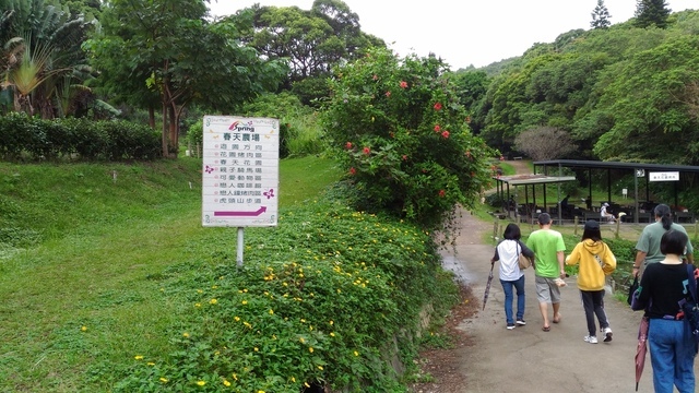 P_20201010_141320.jpg - 1091010-桃園春天農場~~