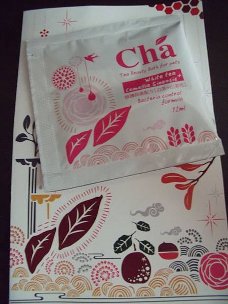 Cha-白茶+山茶花.JPG