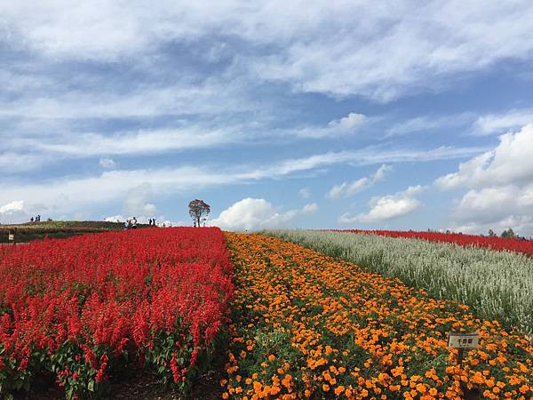 IMG_5639.JPG IMG_5639.JPG