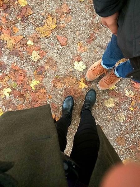 1019蜜月維也納_340.jpg 1019蜜月維也納_340.jpg