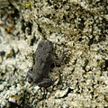 DSC01687_調整大小.JPG