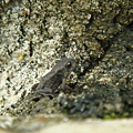 DSC01688_調整大小.JPG