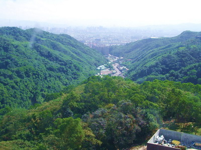 從窗外拍下的風景