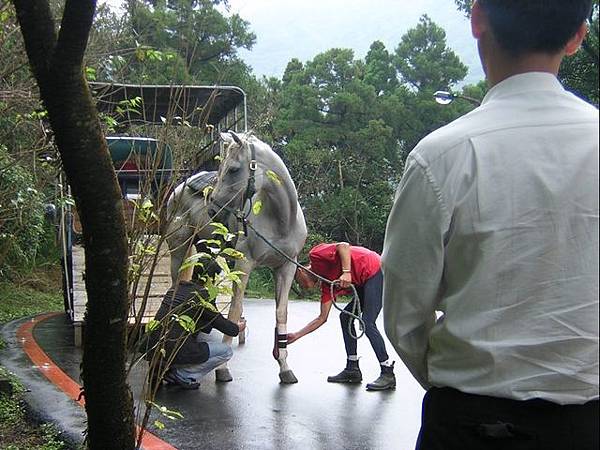 剛開始怕嚇到馬