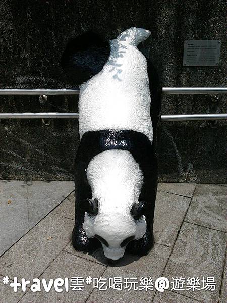 木柵看熊貓