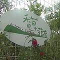 香草菲菲