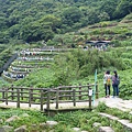 P1090627拷貝.jpg