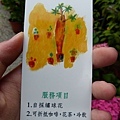 P1090635拷貝.jpg