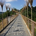 義法13日(Civita di Bagnoregio)