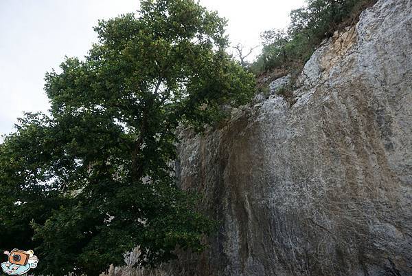 義法13日(Pont du Gard)