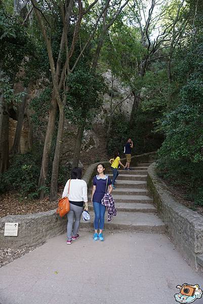 義法13日(Pont du Gard)