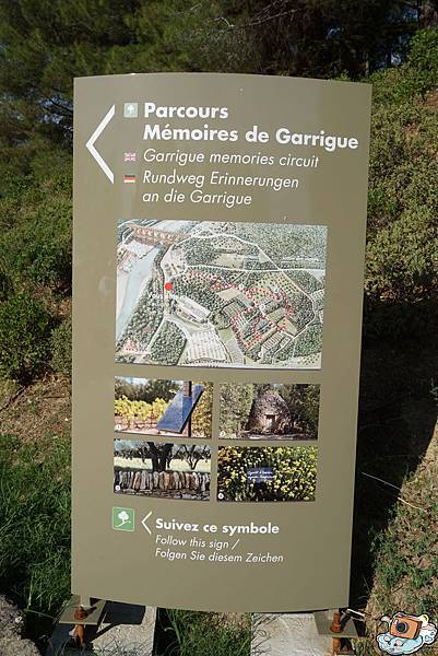 義法13日(Pont du Gard)