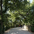 義法13日(Pont du Gard)