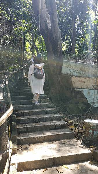 IMG_20200517_101323.jpg IMG_20200517_101323.jpg