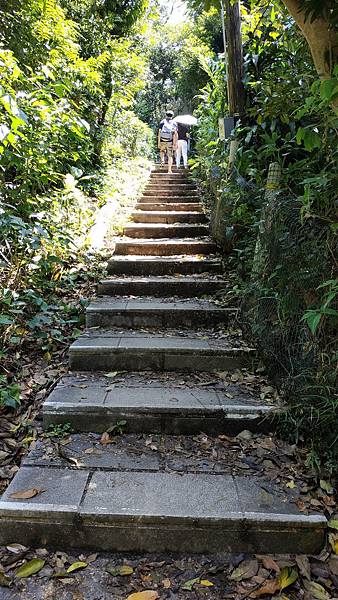 IMG_20200517_102605.jpg IMG_20200517_102605.jpg