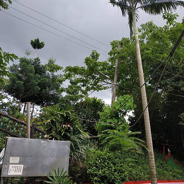 hikingBiji2.020517121252E12.jpg hikingBiji2.020517121252E12.jpg