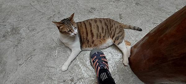 20210405_130322.jpg 20210405_130322.jpg