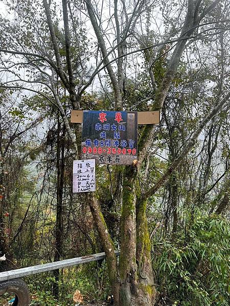 平多縱走 百岳觀景台 親民縱走路線