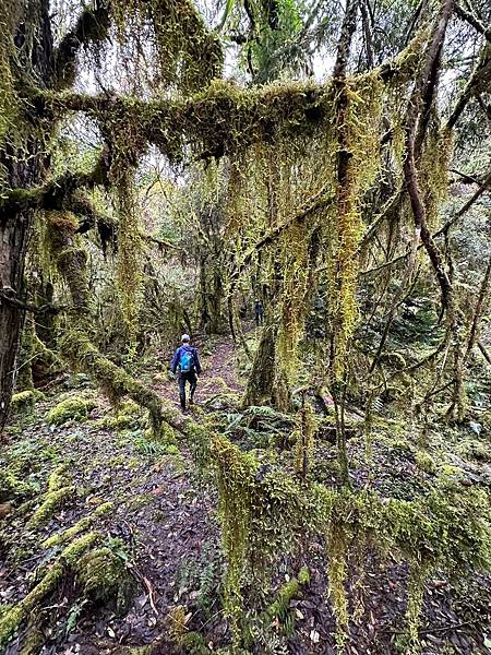 平多縱走 百岳觀景台 親民縱走路線