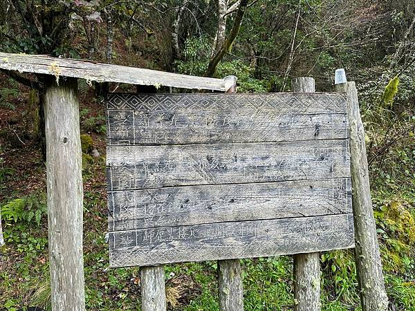 平多縱走 百岳觀景台 親民縱走路線